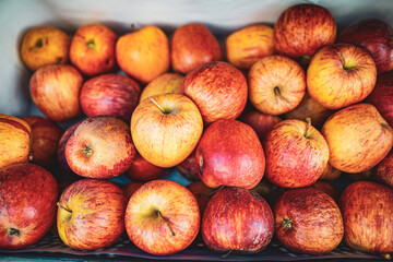 apples on a market in lisbon portugal 