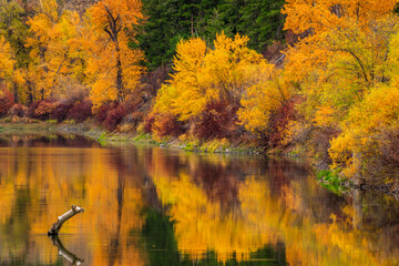 Beautiful autumn view at Deadman's, Salmon River, Idaho, USA