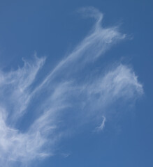 Cloudscape with the white clouds