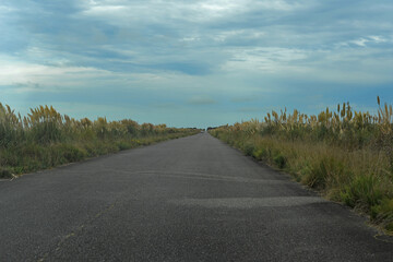 Camino a la playa de Punta Médanos