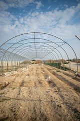 Fototapeta premium Construction of greenhouses on a farm in Doha, Qatar