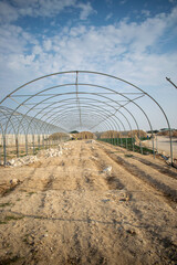 Construction of greenhouses on a farm in Doha, Qatar