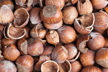 hazelnuts peeled from the shell