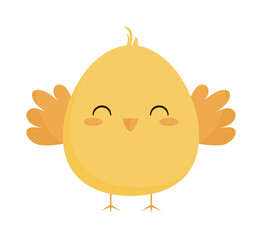 cute yellow chick
