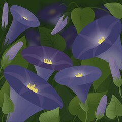 glade blue flowers bindweed
