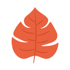 red leaf illustration