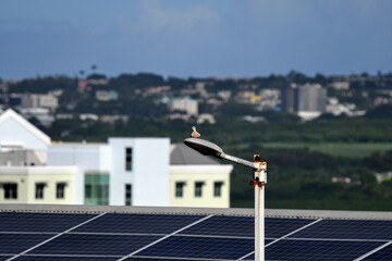 Solar panel, alternative electricity source, the concept of sustainable resources