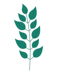 green branch design