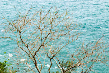 Visão para o mar