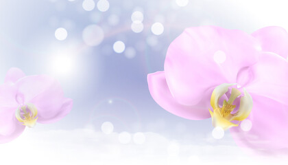 Fototapeta na wymiar Realistic 3d orchid flower background. Illustration