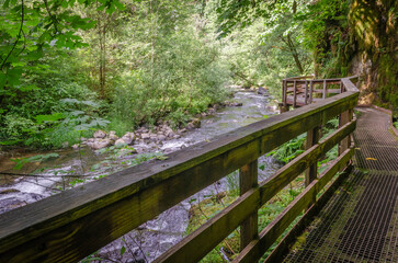 Sweet Creek walkway