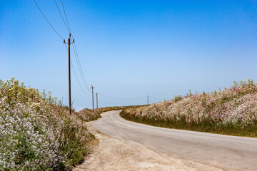 Fototapeta na wymiar A rural road along the coast, Central California, USA