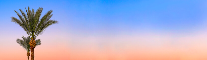Orange blue sunset sky. Tropical coconut green palm tree branches.Vacation mood. Beautiful landscape and background. Copy space, banner.