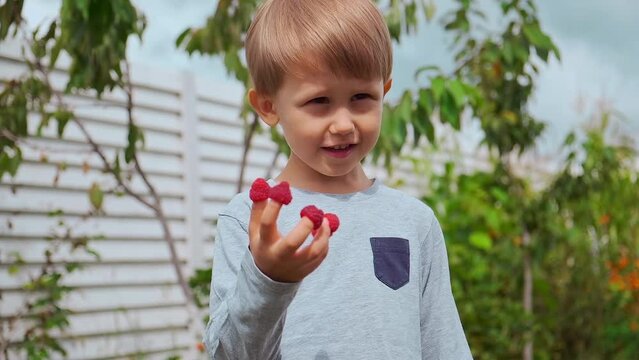 Happy Child 4 years old holding hands on fingers and eating raspberries in backyard