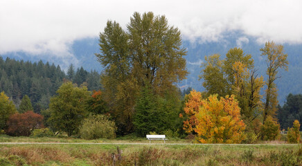 Colorful autumn scenery with lonely bench