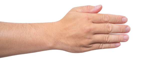  hand and showing 5 fingers gesture isolate