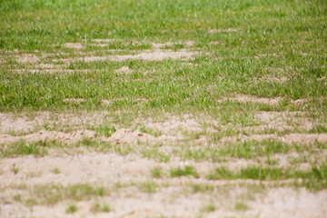 耕作する前の畑地
