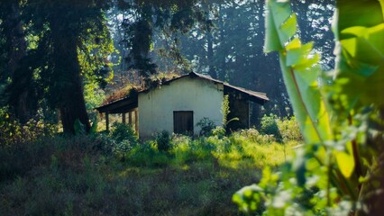 Old Camp House in Spring