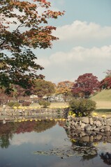 Gyeongju park with autumn leaves