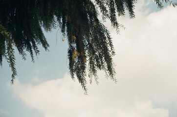 Gyeongju park with autumn leaves