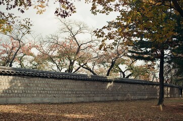 Gyeongju park with autumn leaves