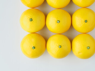 ヒュウガナツの実