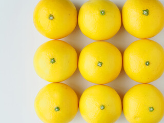 整然と並んだ黄色いヒュウガナツの実