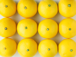 ヒュウガナツの実