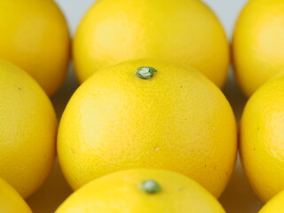 ヒュウガナツの実