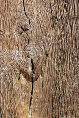 Old tree surface texture with crack tree knot, flat brown texture photograph. 高齢大木の樹皮、傷や割れ、ヒビなどの表情を捉えた写真。