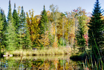 Beautiful landscape with the colors of Fall by the quiet lake and a clear blue sky, HDR rendered photos