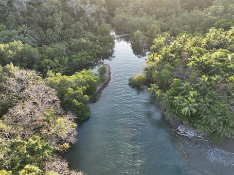 Aerial View of Curu Wildlife Reserve in Puntarenas, Costa Rica