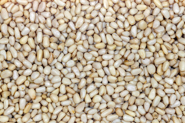 Background or layer of peeled pine nuts
