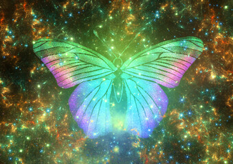 Space Butterfly