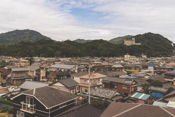 view of the city of Shizuoka in Japan