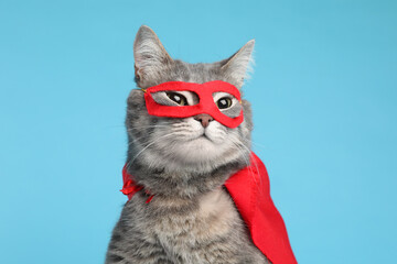 Adorable cat in red superhero cape and mask on light blue background