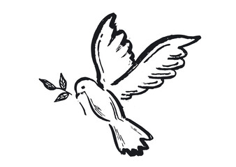 Dove of peace hand drawn illustration.