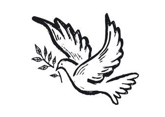 Dove of peace hand drawn illustration.
