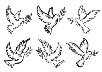 Dove of peace hand drawn illustration.
