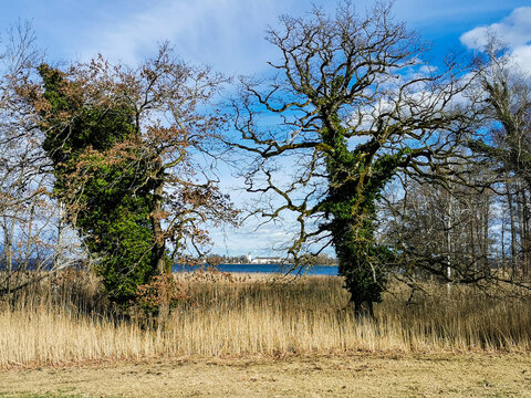 Landscape of Chiemsee, in the Background the Isle of Fraueninsel, Germany
