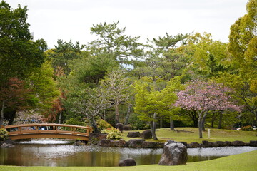 Fototapeta na wymiar 奈良公園　春日野園地の池