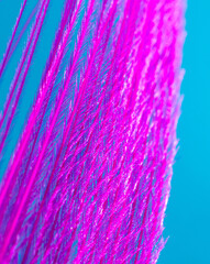 Purple feather on a blue background.