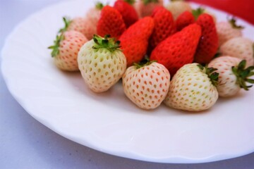 真っ赤な苺と白い苺