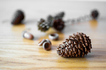 Pine cone closeup on wooden surface. Textured natural forest harvest from a coniferous tree in autumn. Selective focus on the details, blurred background.