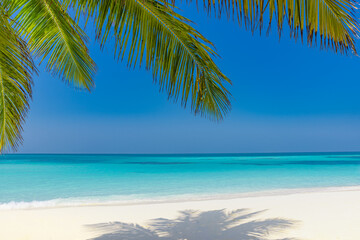 Tranquil sunny tropical beach shore with palm tree leaves and turquoise water, Summer island...