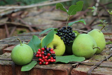 The fruits of a pear of a cuboid shape and a brush with berries of viburnum gordovina, lies on red bricks in the garden.