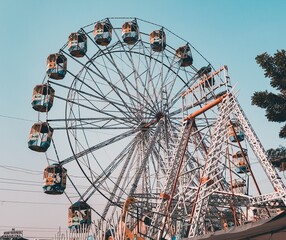 ferris wheel in the park