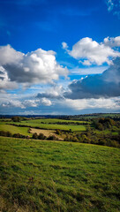 field and blue sky