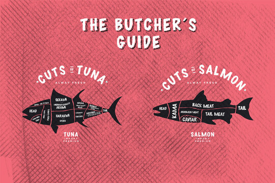 The butcher's Guide, Cut of Tuna and salmon