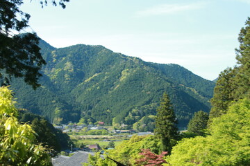 日本の春の美しい風景　兵庫県丹波市の新緑の山 - obrazy, fototapety, plakaty